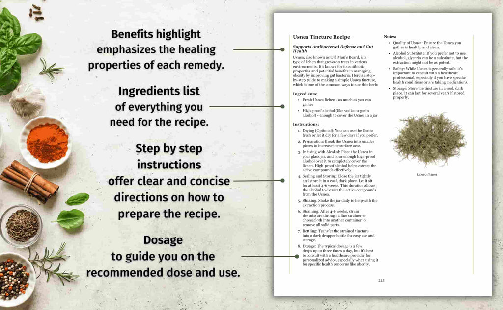 Hidden Powers of Everyday Herbs