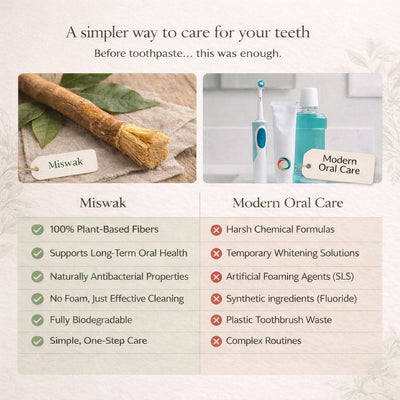 Miswak Natural Toothbrush