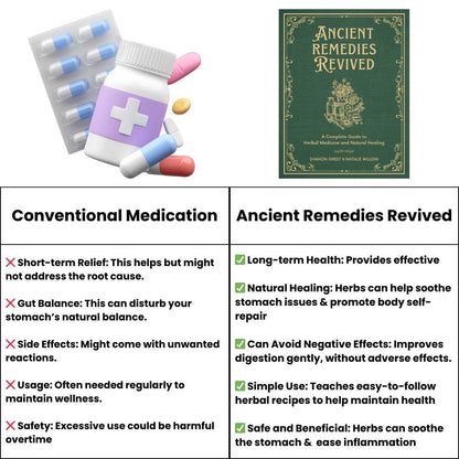 Hidden Powers of Everyday Herbs