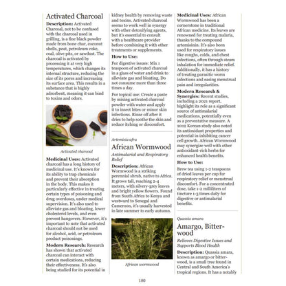 Hidden Powers of Everyday Herbs