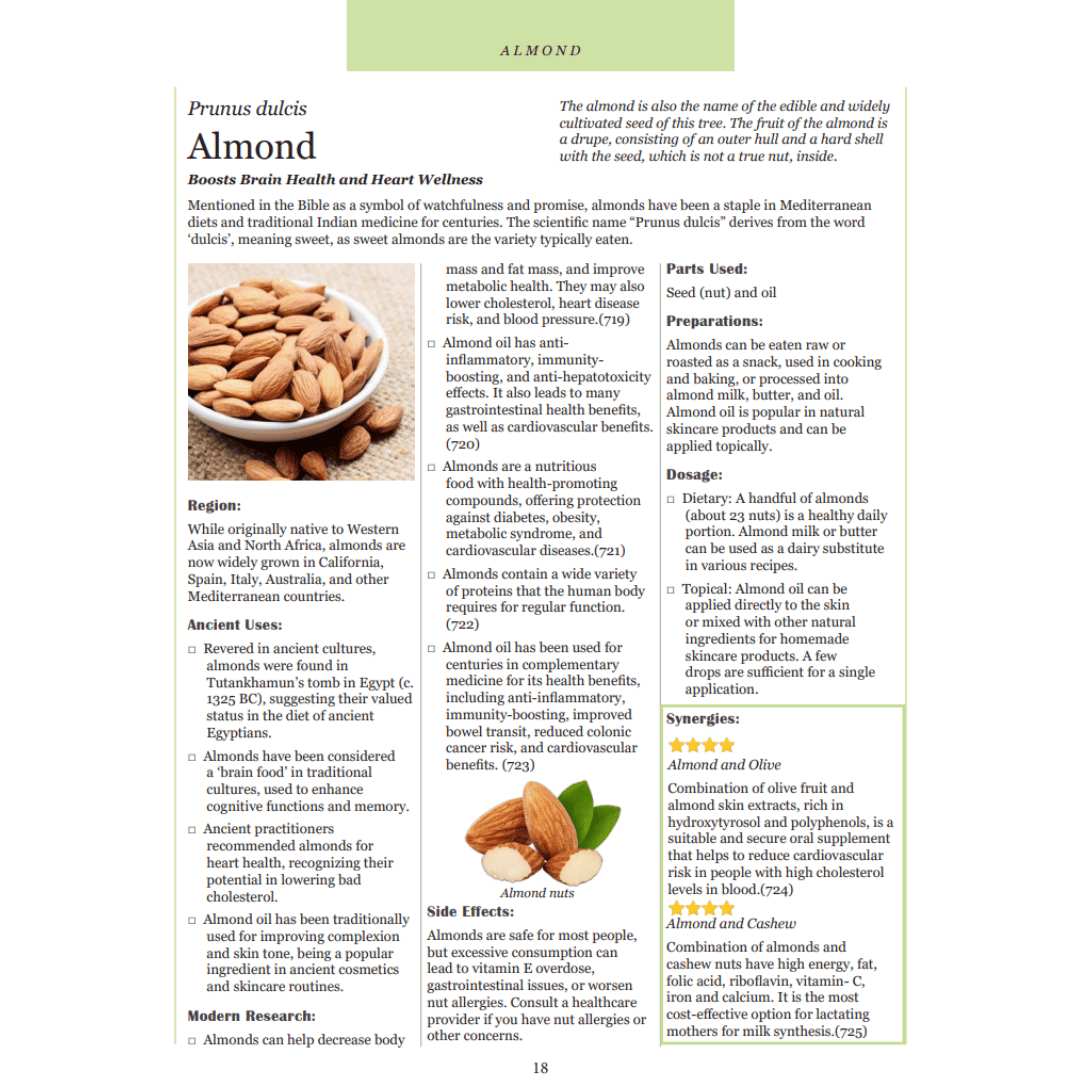 Hidden Powers of Everyday Herbs