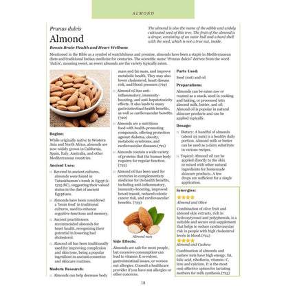 Hidden Powers of Everyday Herbs