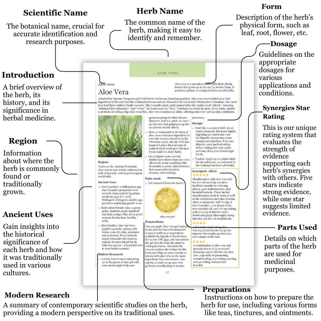 Hidden Powers of Everyday Herbs