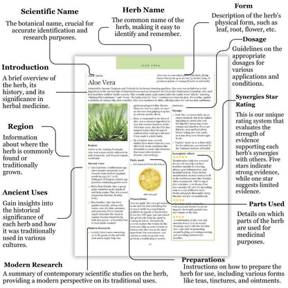 Hidden Powers of Everyday Herbs