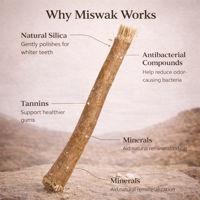 Miswak Natural Toothbrush