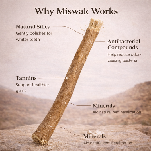 Miswak Natural Toothbrush