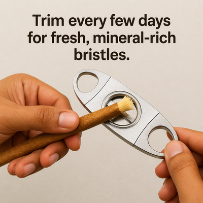 Miswak Natural Toothbrush